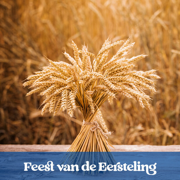 Feest van de Eersteling | Yom HaBikkurim