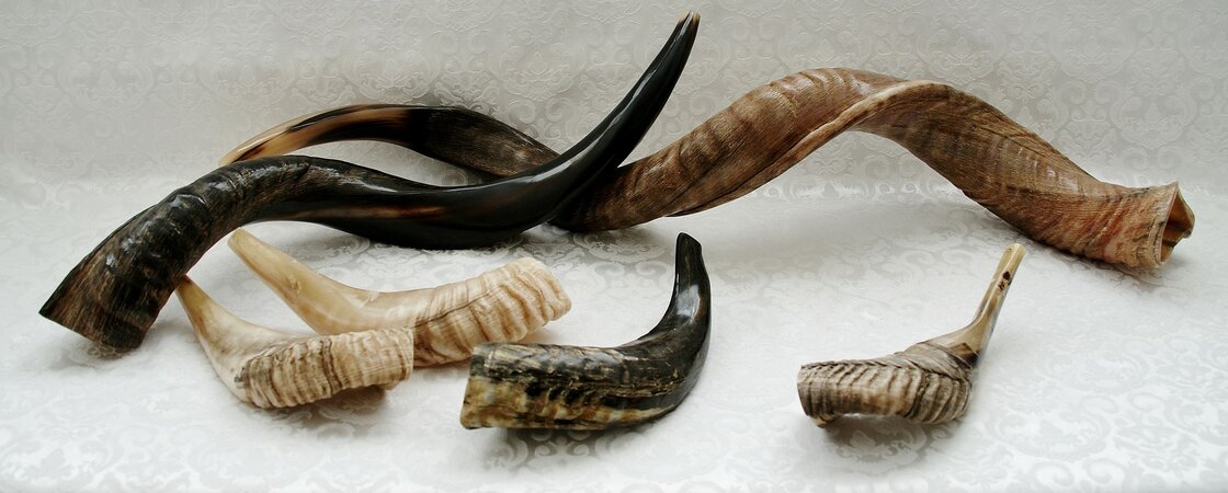 Cadeautips voor hem