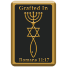 Israel magneet - Messiaans Zegel