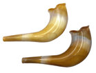 Plastic shofar elegant