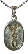 Hanger zilver Messiaans zegel