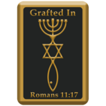 Israel magneet - Messiaans Zegel