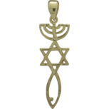 Messiaans Zegel hangertje, mooi zilver met geelgoud verguld Messiaans Zegel hangertje met 2 mogelijkheden