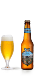 Bier -  Alexander Beer Wheat