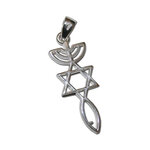 Hangertje zilver Messiaans Zegel