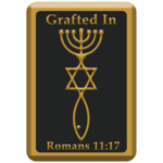 Israel magneet - Messiaans Zegel