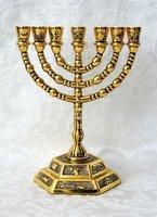 Erfenis Blind vertrouwen onder 7-armige Menorahs - webwinkel in Israel producten en Joods religieuze  artikelen