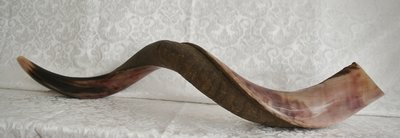 Shofar Large (kosher)