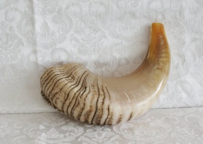 Shofar (Kosher) voornamelijk licht gekleurd.