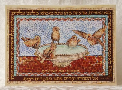 Wenskaart-uit-Israel, Lukas 12:7 wees dan niet bevreesd: u gaat veel musjes te boven.