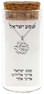 Hangertje Shema Yisrael (Hoor Israel...) in Hebreeuwse letters in zilver, inclusief Ketting in een stijlvol glazen kokertje