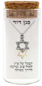 Davidster sierlijk hangertje in zilver, inclusief Ketting in een stijlvol glazen kokertje