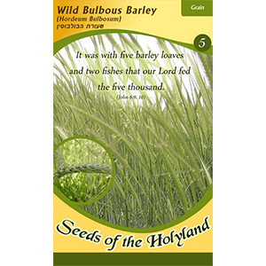 Bijbelse zaadjes uit Israel: Barley / Gerst