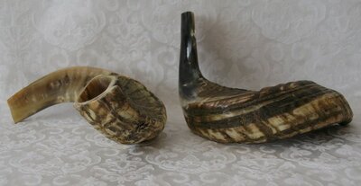 Shofar (Kosher) voornamelijk donker gekleurd.