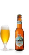 Bier -  Alexander Tropical IPA