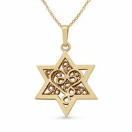 Davidster hangertje, schitterend 14K gouden Davidster hangertje met filigree bewerking uit de Rafael Jewelry collectie
