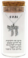 Chai (Leven) sierlijk hangertje in zilver, inclusief Ketting in een stijlvol glazen kokertje
