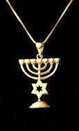 Menorah hangertje, mooi hangertje in geel-goud verguld met een Davidster van de Israelische ontwerpster Marina