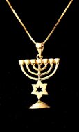 Menorah hangertje, mooi hangertje in geel-goud verguld met een Davidster van de Israelische ontwerpster Marina