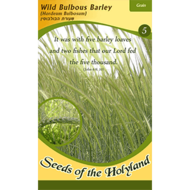 Bijbelse zaadjes uit Israel: Barley / Gerst