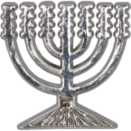 Reversspeld / broche met de Menorah / Menora in zilverkleur