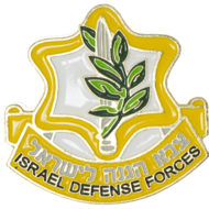 Reversspeld / broche met het logo van het Israelische leger, de IDF