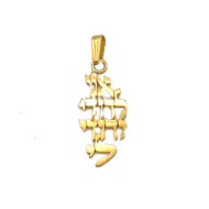 Hebreeuws hangertje 14K goud, met de tekst:&#039;Ani ledodi...&#039; (Ik ben van mijn Geliefde...) uit de Rafael Jewelry co