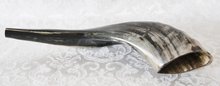 Shofar (Kosher) voornamelijk donker gekleurd en gepolijst.