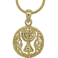 Menorah hangertje van met geelgoud verguld metaal inclusief ketting van 40 cm