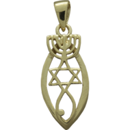 Messiaans Zegel hangertje, prachtig hangertje zilver met geelgoud verguld in sierlijk ontwerp op ovale vorm 