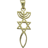 Messiaans Zegel hangertje, neutraal zilver met geelgoud verguld Messiaans Zegel hangertje glanzend afgewerkt