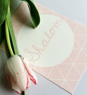 Ansichtkaart Shalom (vrede) in pastel roze met grafische print van Ahavah design