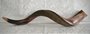 Shofar Extra Large (kosher)
