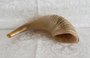 Shofar / Sjofar / Ramshoorn