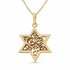 Davidster hangertje, schitterend 14K gouden Davidster hangertje met filigree bewerking uit de Rafael Jewelry collectie