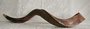 Jumbo Shofar Extra Large (kosher)