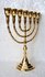 Menorah, prachtige vergulde Menorah in medium maat met grote cups van 2,1 cm dus geschikt voor normale dinerkaarsen. 26 cm hoog en 21 cm breed_