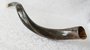 Shofar (kosher) Jemenitische Shofar / Sjofarsmall