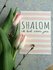 Kaart / Gebedskaart met envelop met de tekst 'Shalom ik bid voor jou' in gebroken wit met pastel roze van Ahavah 